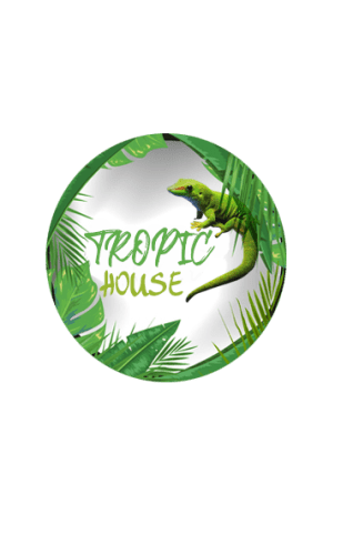 tropic-house.fr